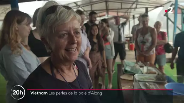 Vietnam : Les perles de la baie dAlong