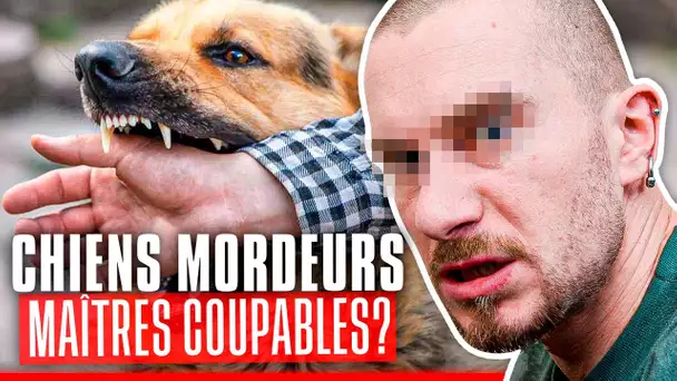 Chiens à problèmes, qui sont les coupables ?