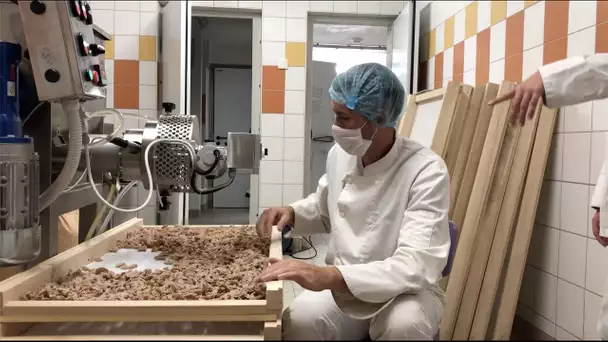 Doubs : les Juju Pasta, un producteur de pâtes bio 100% comtoises