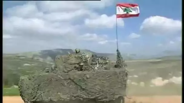 [Avenir de l'armée du Liban Sud]