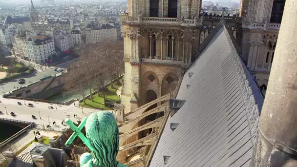 Notre Dame de Paris : A l'ombre des Tours du Monument