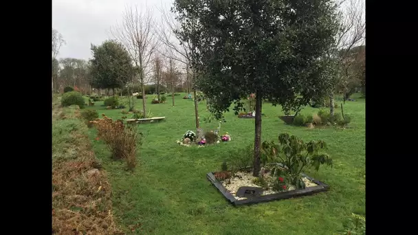 Jardin mémoire