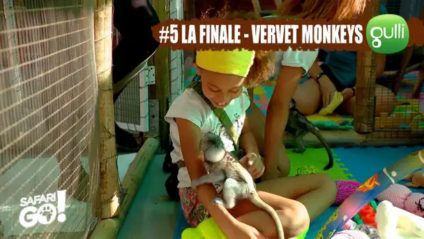 SAFARI GO S2 avec Carole Rousseau sur Gulli ! E5 - A la rencontre des Vervet Monkeys !