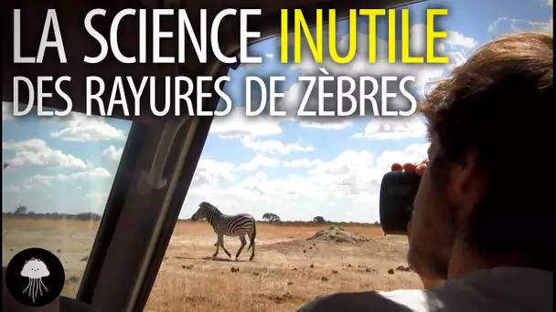 La science inutile des rayures de zèbres - DBY #15