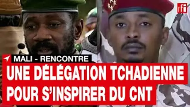 Mali : une délégation tchadienne à Bamako pour s’inspirer du CNT • RFI