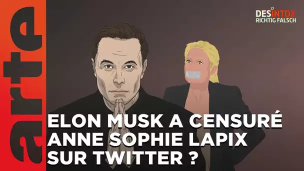 Elon Musk a-t-il censuré Anne Sophie Lapix sur Twitter ? - Desintox | ARTE
