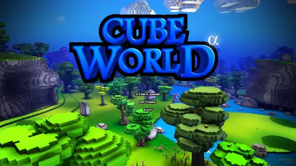 Cube World avec Xeleko - Rencontre