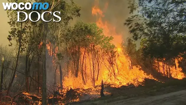 Tasmanien: der unendliche Kampf gegen Waldbrände