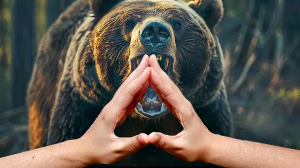 La Technique Du Triangle Vous Évitera D’être Attaqué Par Un Ours