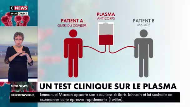 Coronavirus : un test clinique sur le plasma