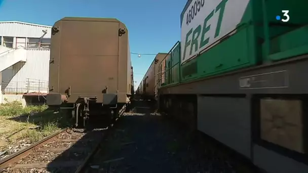 Nîmes : 37 wagons du train des primeurs Perpignan-Rungis stockés au centre de triage