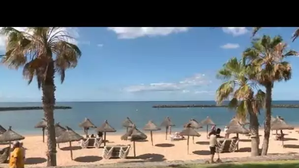 MEDITERRANEO - Iles Canaries : le tourisme numérique pour sauver la saison et relancer l’économie.