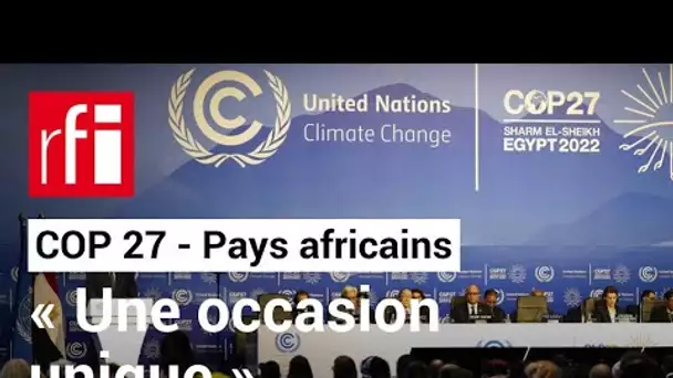 COP27 : « Une occasion unique pour les pays africains de remettre un peu d'équilibre » • RFI