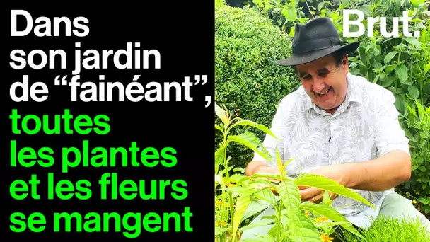 Visite du jardin entièrement comestible de Pascal Garbe