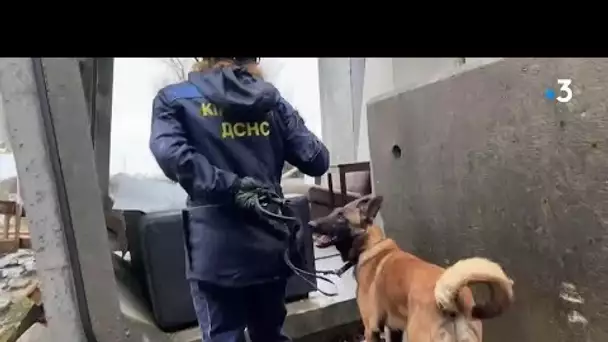 Ça Se Passe Ici, à Auxerre (Yonne) - Des chiens de secours pour l'Ukraine