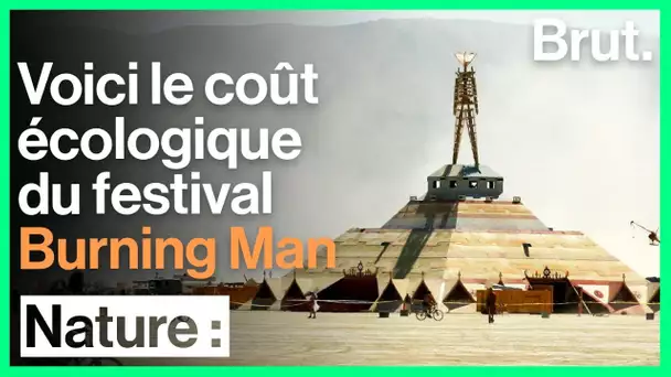 Voici le coût écologique du festival Burning Man