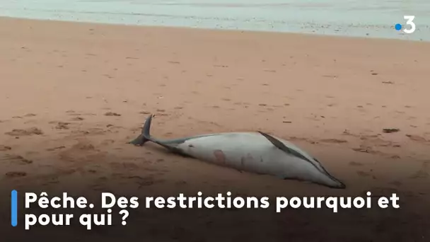 Pêche. Des restrictions pourquoi et pour qui ?