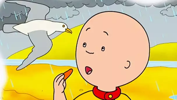 Caillou à la Plage sous la Pluie | Caillou en Français