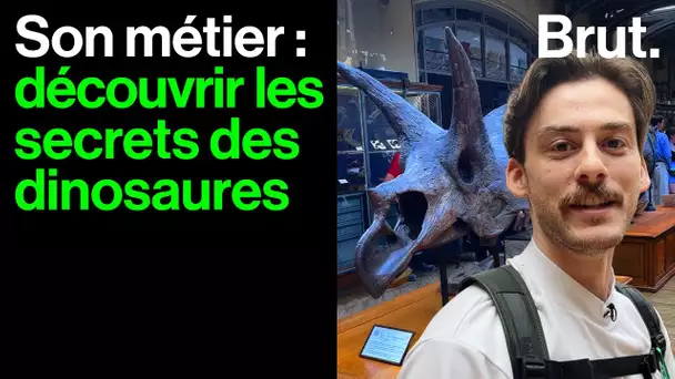 À 30 ans, Romain change notre vision des dinosaures