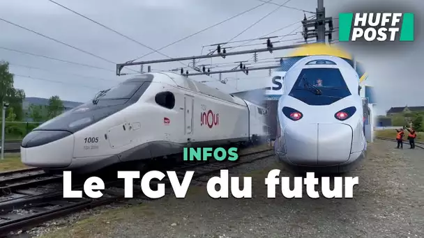 La SNCF présente le TGV M, son « train du futur », dont les rames seront presque toutes blanches