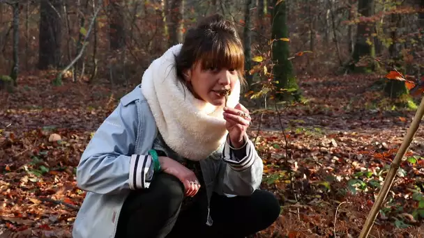 Na petra 'ta : ar c'hebell-touseg/les champignons