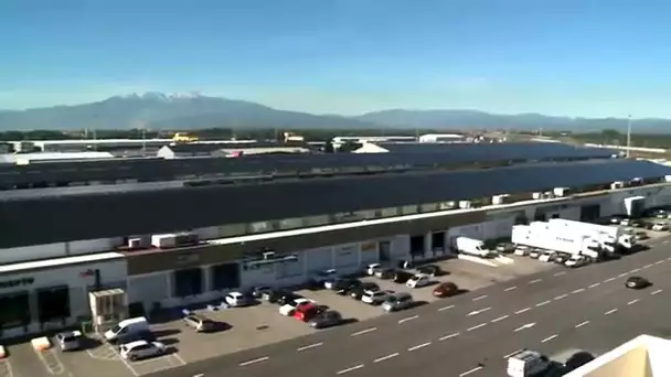 Saint Charles International : un marché de fruits et légumes devenu un géant du photovoltaïque