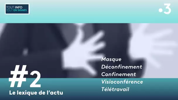 Le lexique de [Tout-Info/Tout en Signes] N°2