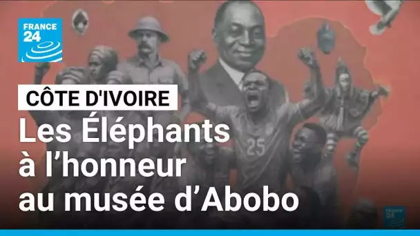 Côte d'Ivoire : les Éléphants à l’honneur au musée d’Abobo • FRANCE 24