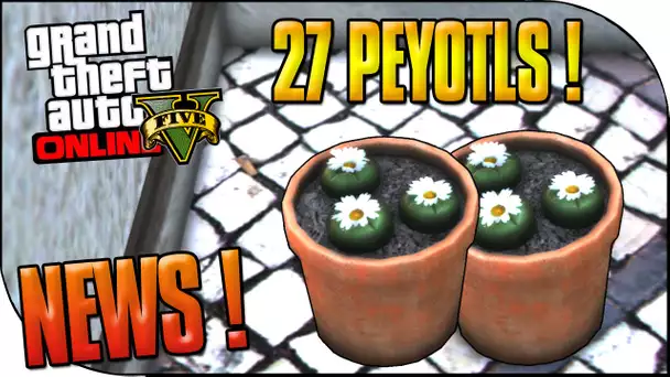 LOCALISATIONS DES 27 PEYOTLS ! GTA 5 EASTER EGG