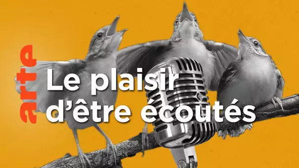 Les oiseaux sont-il des musiciens ? | Gymnastique, la culture en s'amusant | ARTE