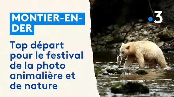 Le festival de photo animalière et de nature bat son plein à Montier-en-Der