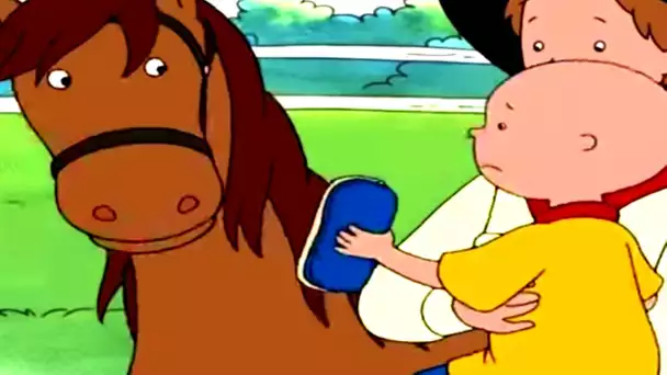 Caillou en Français - Caillou Brosse un Cheval | dessin animé | conte pour enfant