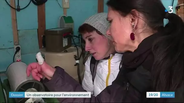 Bas-Rhin : un observatoire pour l'environnement