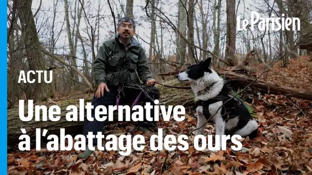 Au Japon, ce berger et son chien luttent contre les ours tout en les protégeant