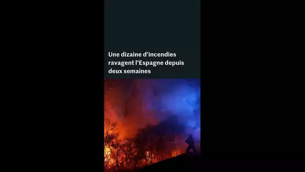 Une dizaine d’incendies ravagent l’Espagne depuis deux semaines
