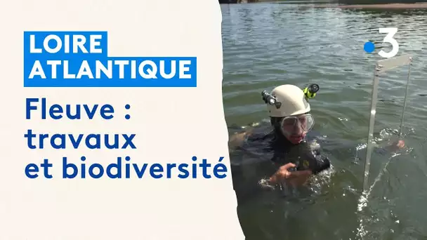 Travaux en Loire et biodiversité