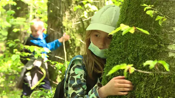 L'appel en forêt pour une classe du Doubs