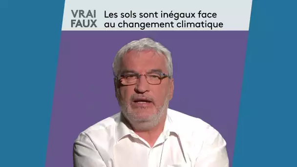 Vrai ou Faux : les sols sont inégaux face au changement climatique