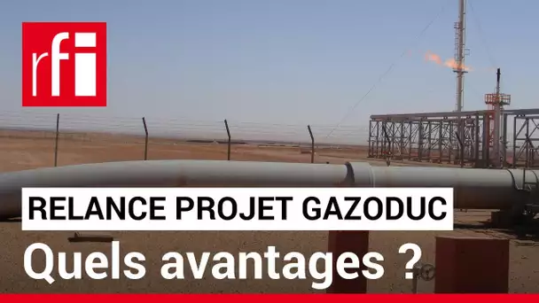 Énergie : relance d'un projet de gazoduc transsaharien • RFI