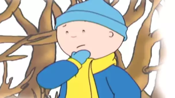 Caillou en Français - Caillou et les Problèmes de L&#039;Hiver | dessin animé | conte pour enfant