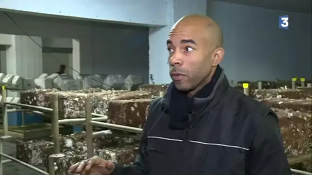 ferme bio dans un parking parisien