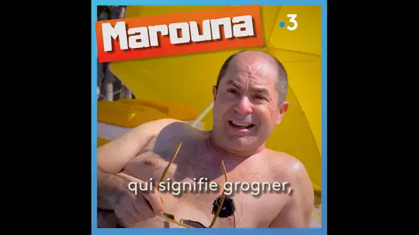 Parlez-vous le sud ? Que veut dire "maronner" ?