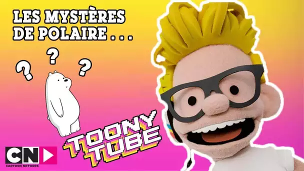 Les mystères de Polaire | Toony Tube en français