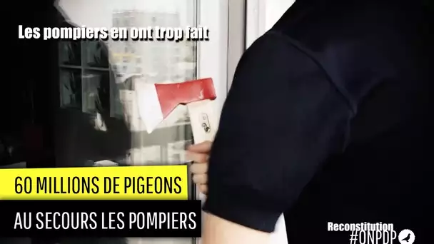 60 millions de Pigeons : les pompiers en font trop