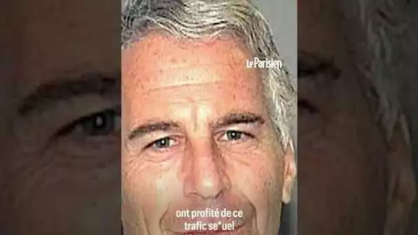 Non, les noms cités dans la « liste Epstein » n'ont pas profité du réseau du pédocriminel