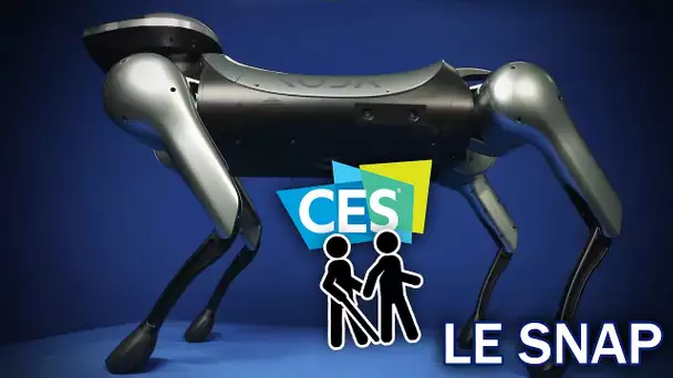 Le Snap #24 : Un robot compagnon pour les aveugles