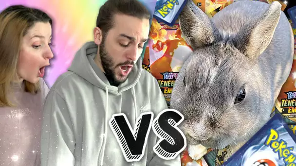 DUEL D'OUVERTURE DE CARTES POKEMON AVEC NOTRE LAPIN, SEOUL ! QUI PACKERA LE PLUS D'ULTRA RARE ?