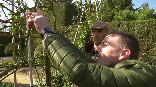 Billy découvre les jardins du château de la Ballue 2ème partie