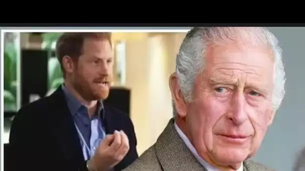 Charles n'a pas vu Harry au Royaume-Uni parce qu'il se méfiait du "drame" - expert