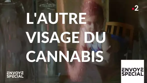 Envoyé spécial. L&#039;autre visage du cannabis - 28 février 2019 (France 2)